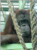 zoo 3