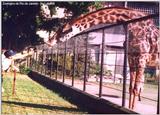 Few hours ago in the Rio's Zoo - zoorji.jpg (1/1)