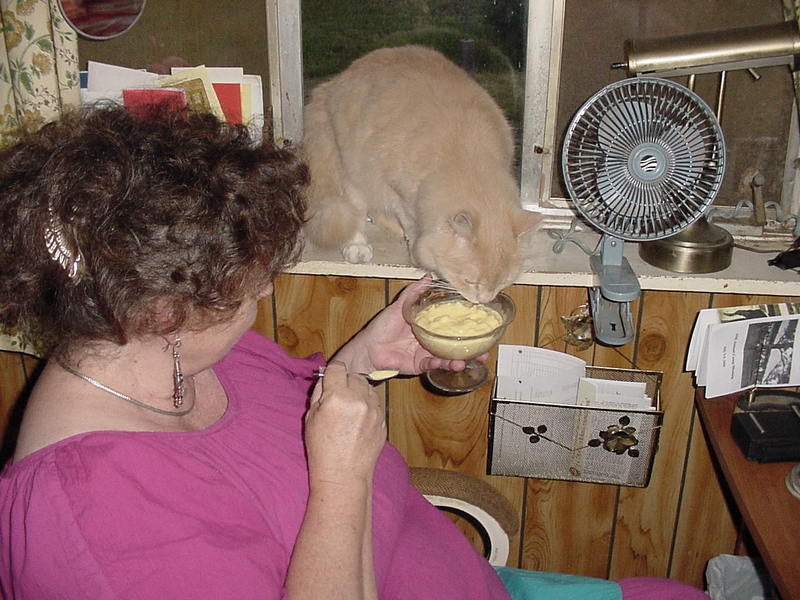 (My Cats] - 0399-mvc.JPG (1/1); DISPLAY FULL IMAGE.