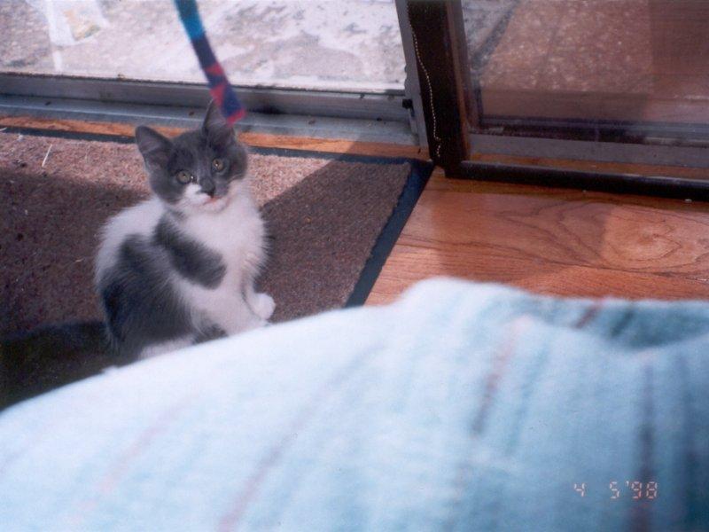 Baby pic of Richie; DISPLAY FULL IMAGE.