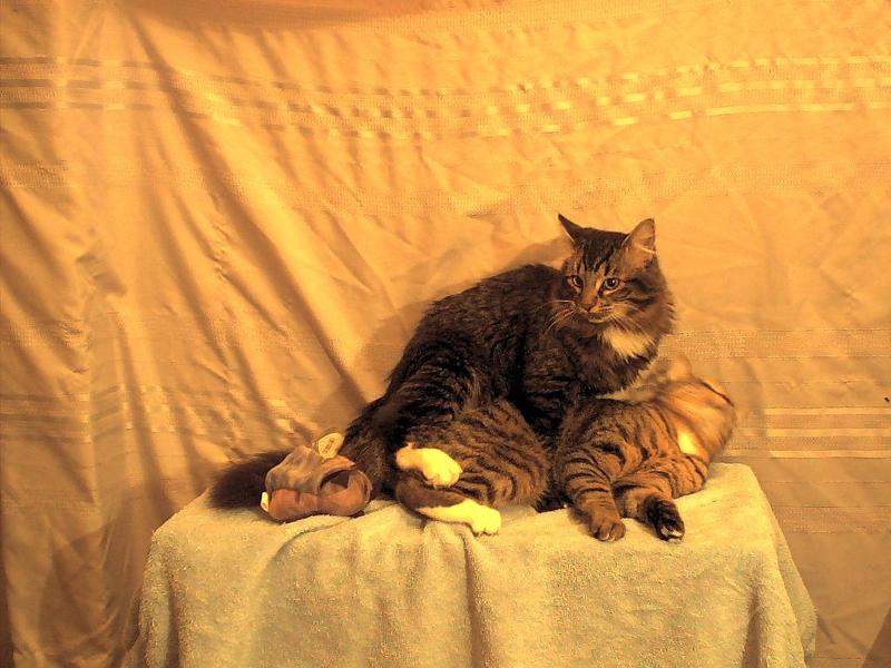 boys will be boys; DISPLAY FULL IMAGE.