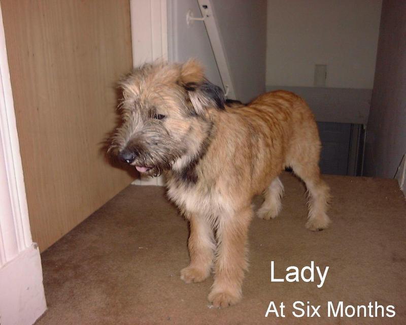 (Description) File 13 of 40 - Lady - 004.jpg (1/1); DISPLAY FULL IMAGE.