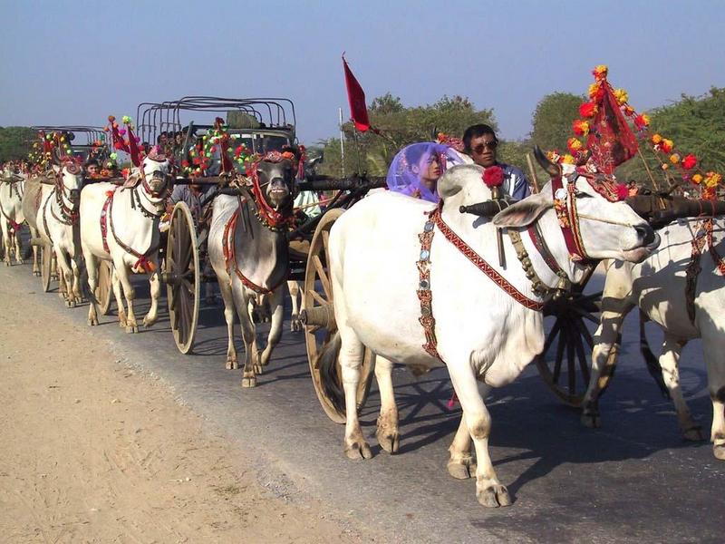 on the road to mandalay; DISPLAY FULL IMAGE.