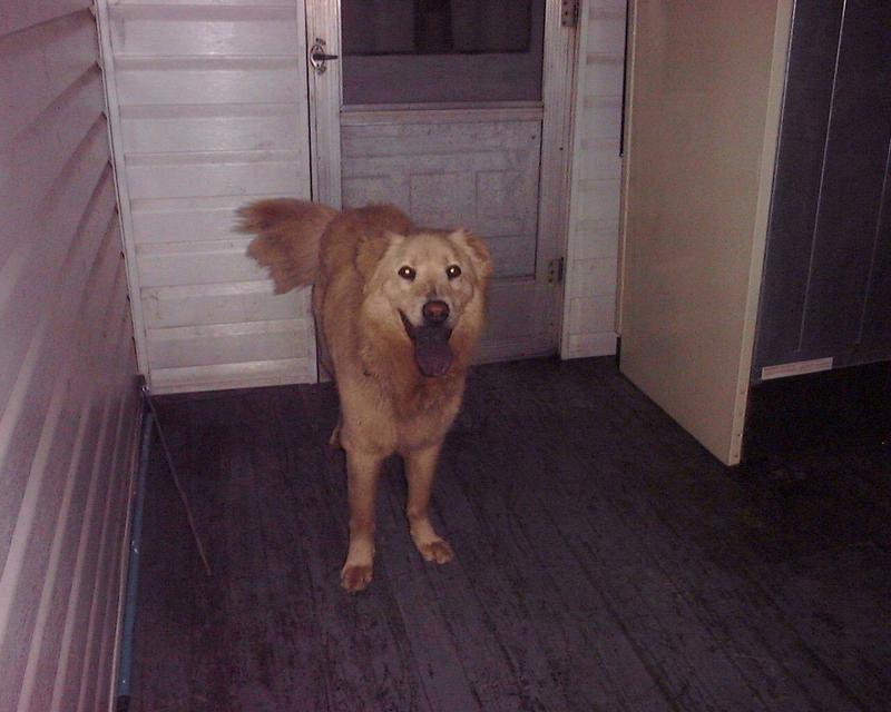 (Description) File 40 of 40 - max.JPG (1/1); DISPLAY FULL IMAGE.