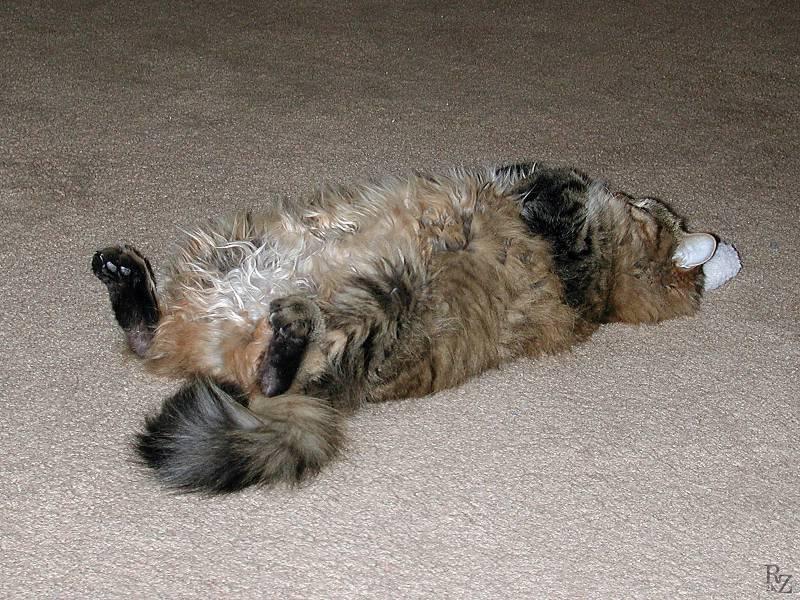 Not a creature was stirring; DISPLAY FULL IMAGE.