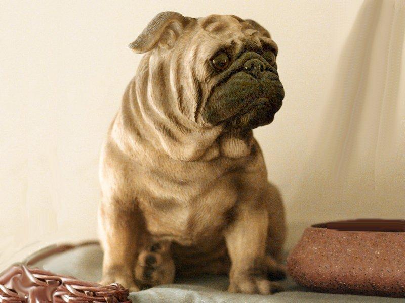 Extremely Ferocious Beast - (Cute Pug Dog); DISPLAY FULL IMAGE.