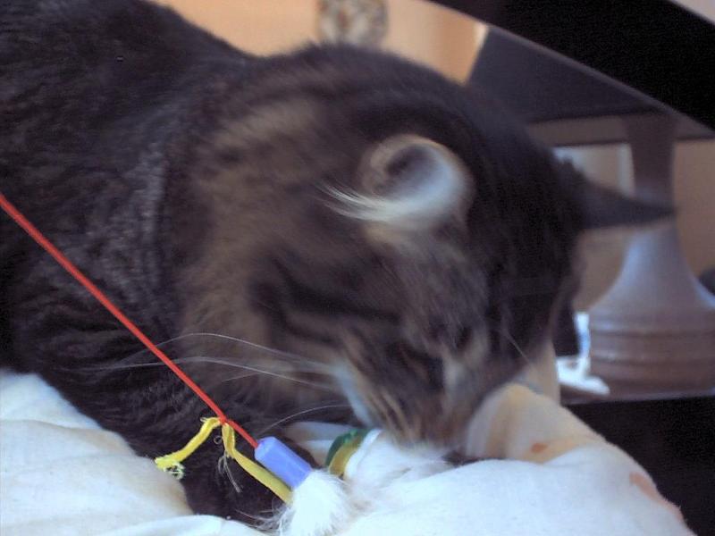 play time; DISPLAY FULL IMAGE.