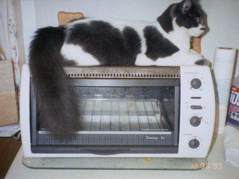 Richie, nice 'n' toasty; DISPLAY FULL IMAGE.