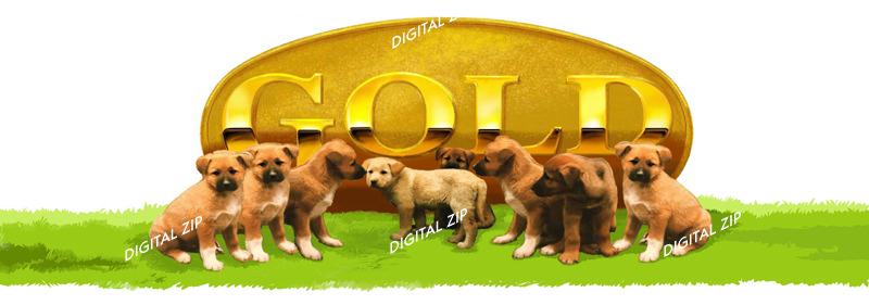 TongroPhoto-f36-Dog-8puppies.jpg; DISPLAY FULL IMAGE.