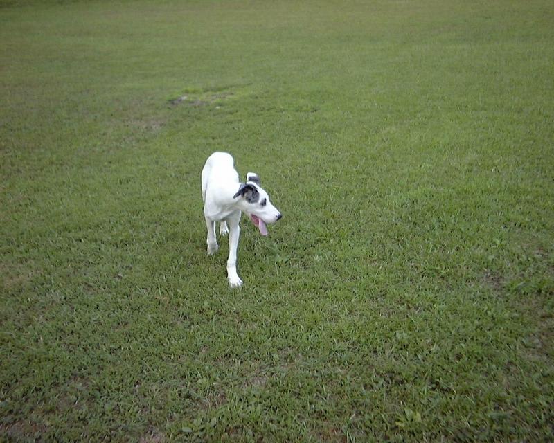 (Description) File 14 of 34 - Ughher - 0014.jpg (1/1); DISPLAY FULL IMAGE.