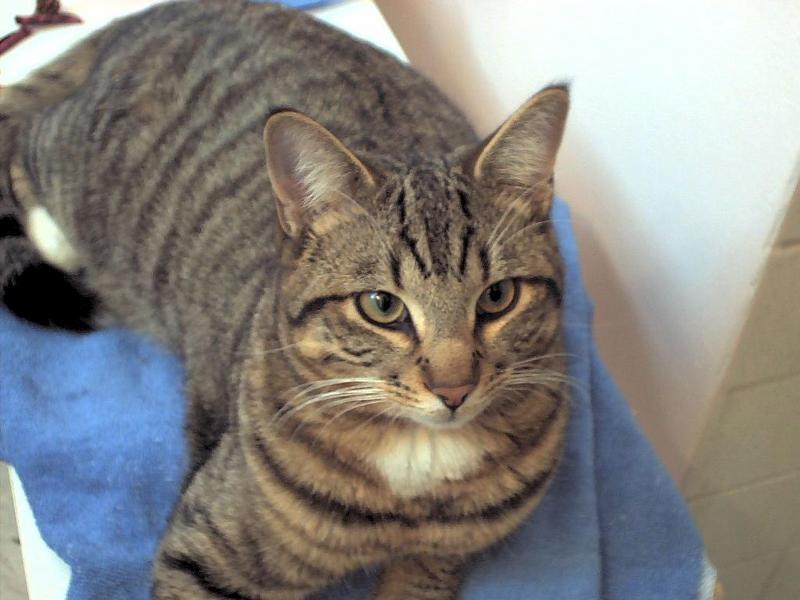 ziggy; DISPLAY FULL IMAGE.