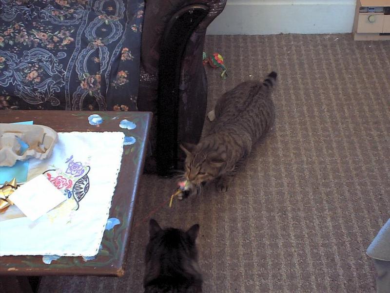 play time; DISPLAY FULL IMAGE.