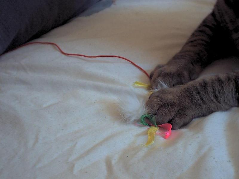 play time; DISPLAY FULL IMAGE.