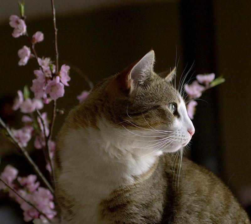 Willie...; DISPLAY FULL IMAGE.