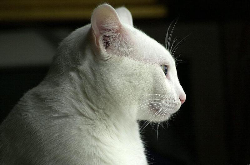 Daydreaming..; DISPLAY FULL IMAGE.