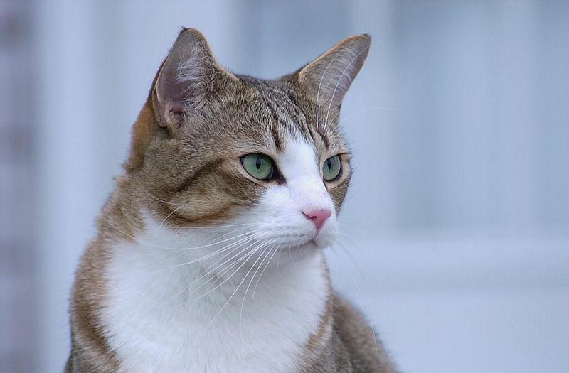 willie..; DISPLAY FULL IMAGE.