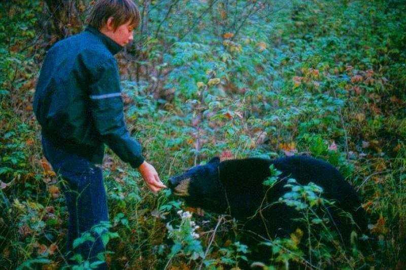 American Black Bear Being Fed_03; DISPLAY FULL IMAGE.