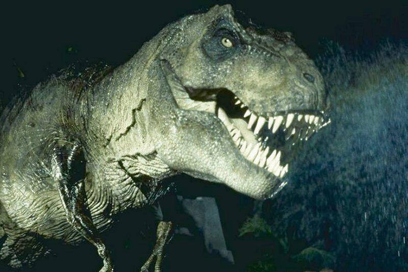 Dinosaurs 3 jpg; DISPLAY FULL IMAGE.
