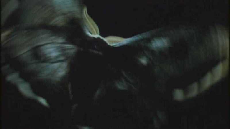D:\Microcosmos\Moth's Flight] [01/13] - 292.jpg (1/1) (Video Capture); DISPLAY FULL IMAGE.