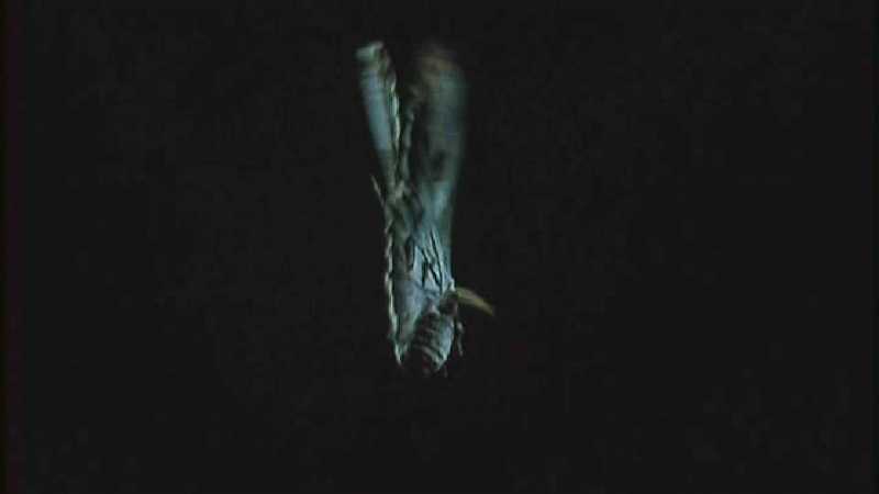 D:\Microcosmos\Moth's Flight] [01/13] - 292.jpg (1/1) (Video Capture); DISPLAY FULL IMAGE.