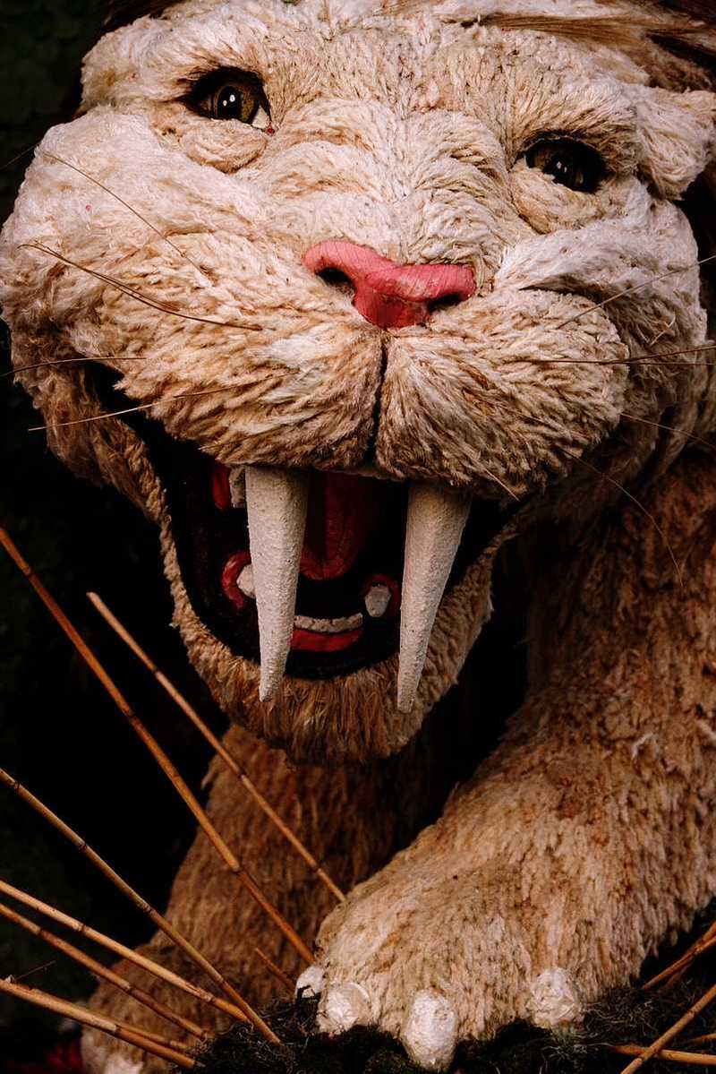 [PIC] Saber-toothed Tiger (Model); DISPLAY FULL IMAGE.