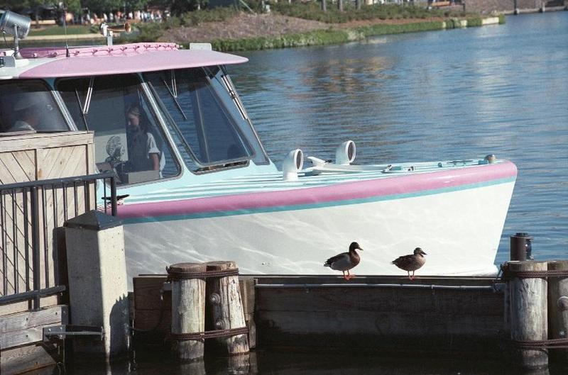 Glad to share - as01p042.jpg; DISPLAY FULL IMAGE.