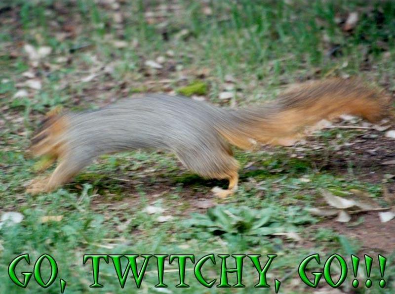 Go, Twitchy, Go!!!; DISPLAY FULL IMAGE.