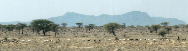 (P:\Africa\Masai) Dn-a0660.jpg (1/1) (39 K); DISPLAY FULL IMAGE.